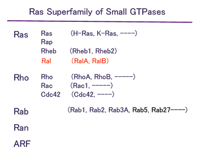 Ras Superfamily of Small GTPases